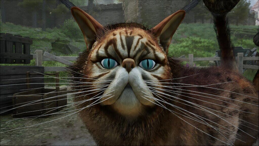 Fantastic beast Hogwarts Legacy